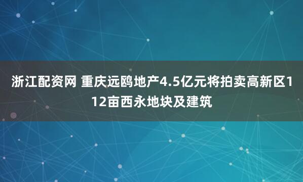 浙江配资网 重庆远鸥地产4.5亿元将拍卖高新区112亩西永地块及建筑