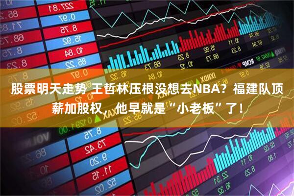 股票明天走势 王哲林压根没想去NBA？福建队顶薪加股权，他早就是“小老板”了！